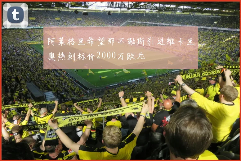 阿莱格里希望那不勒斯引进维卡里奥热刺标价2000万欧元